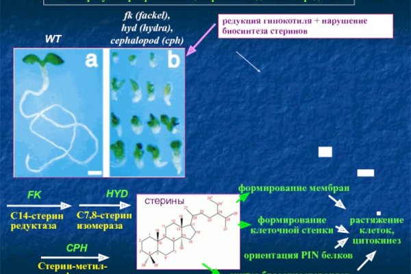 Кракен сайт 1kraken me официальный