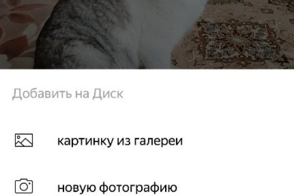 Не могу зайти в кракен