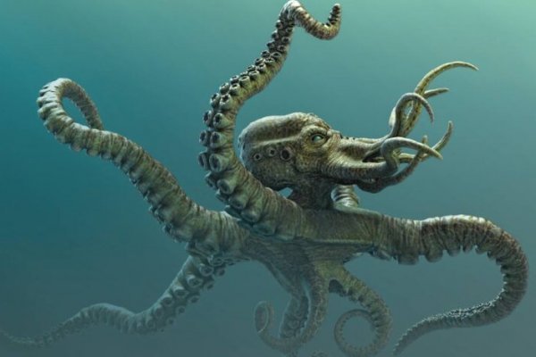 Где взять ссылку на кракен kraken014 com