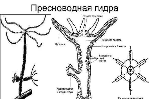 Кракен зеркало рабочее kr2web in