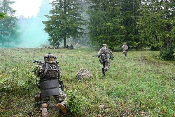 Рабочее зеркало кракен