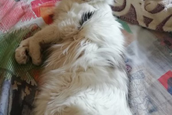 Кракен сайт дарк нет